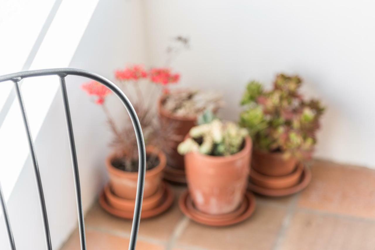 Guestready - Cactus Balcony - Free Private Parking Porto Exterior foto
